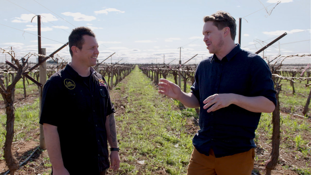 Adam Gallace, fruit producer