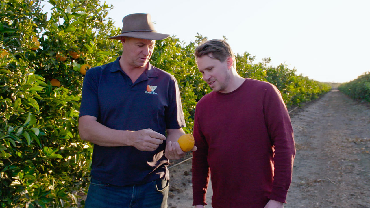 Justin Kassolke, sumo citrus grower